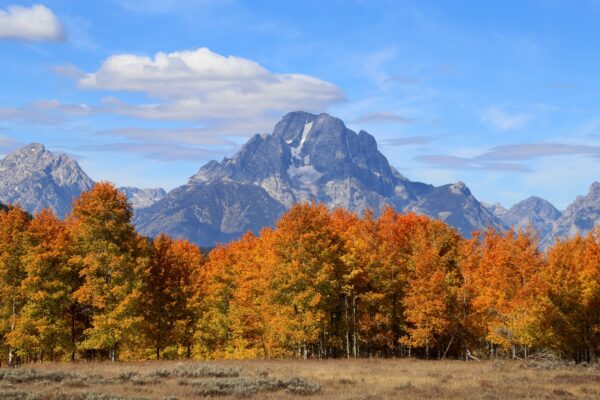 Image of Grand Tetons in fall near House Huff Inn and Cabins