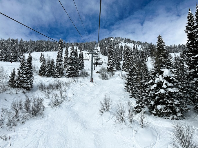 5 Reasons for a Jackson Hole Ski Trip